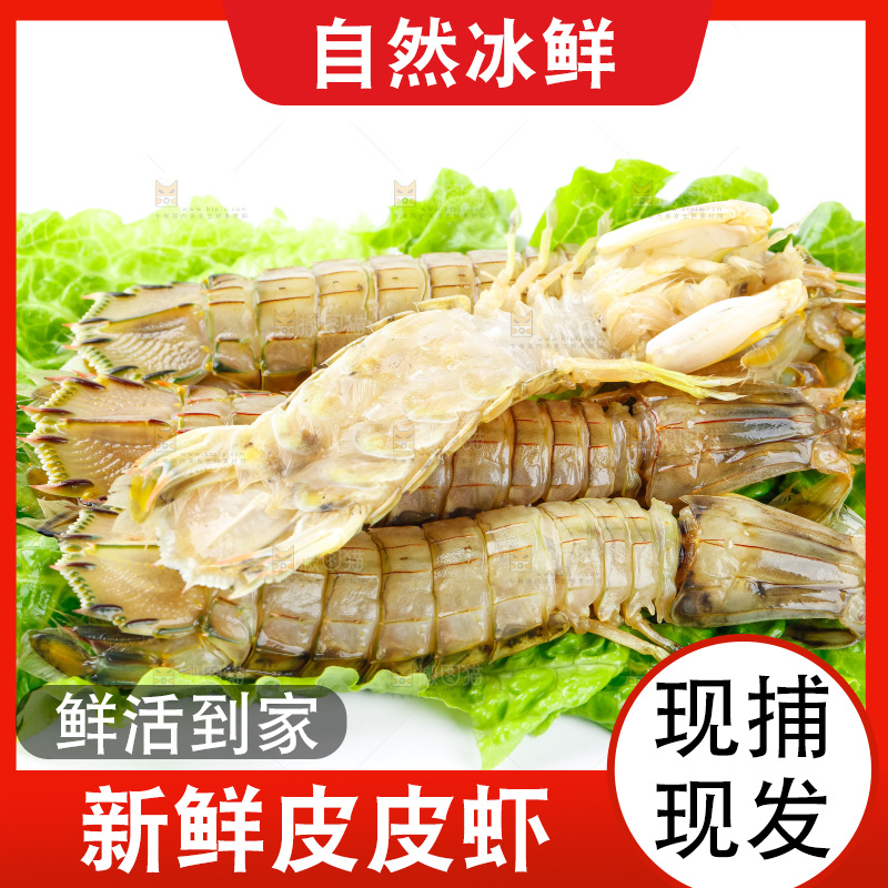 白底上的濑尿虾