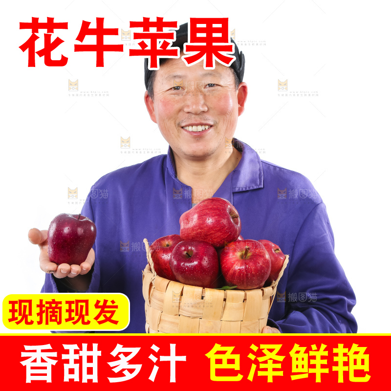 农民手里拿着天水花牛苹果