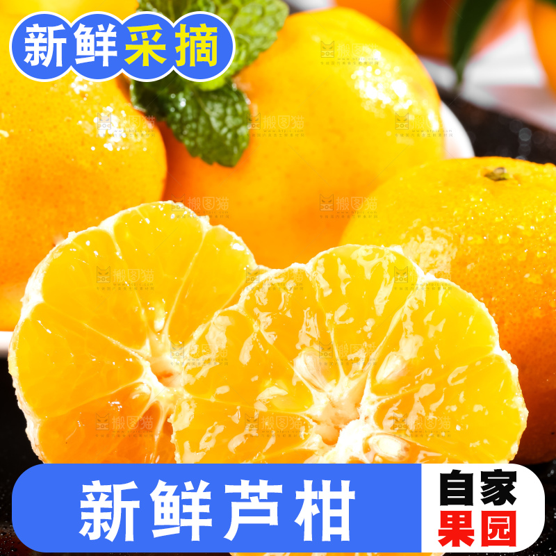 黑底上的福建芦柑