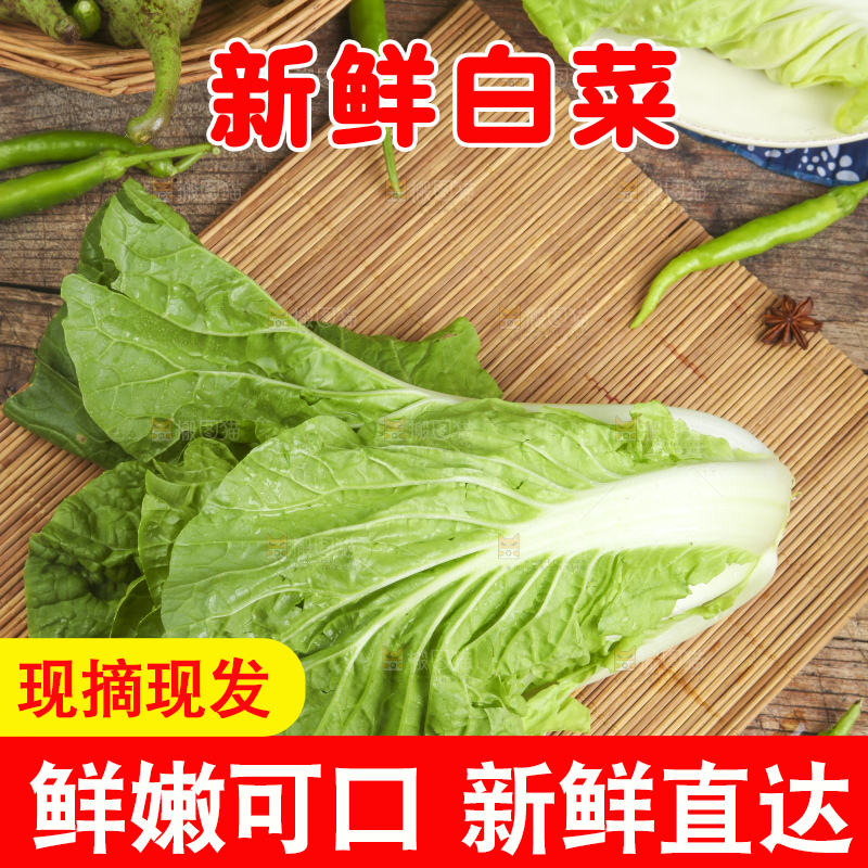 木板上放着白菜