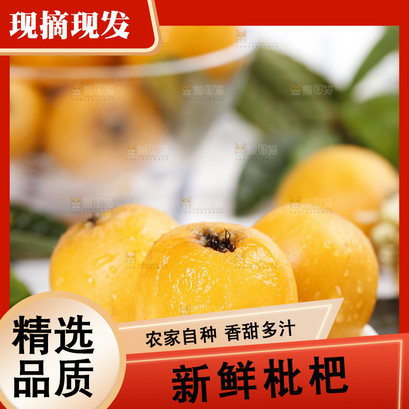 石板上的云南蒙自枇杷
