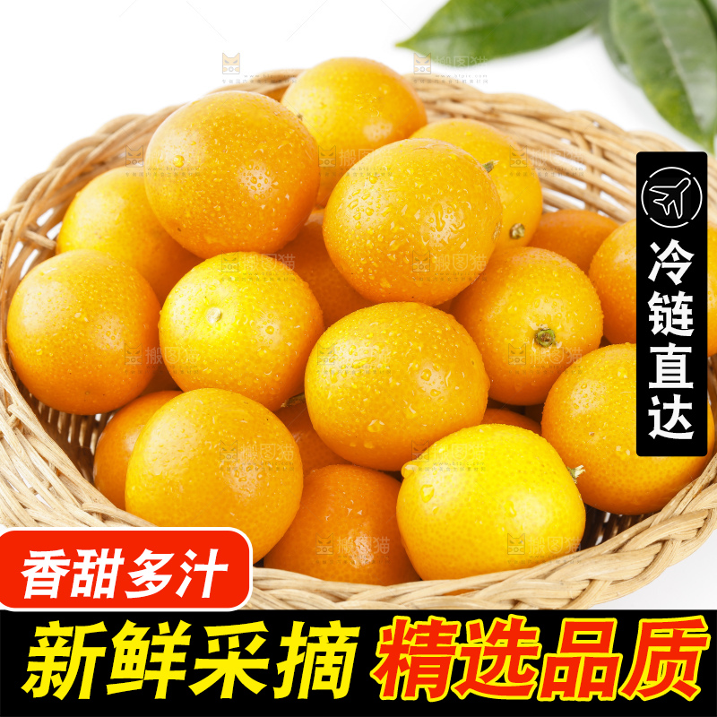 篮子里装着小金桔