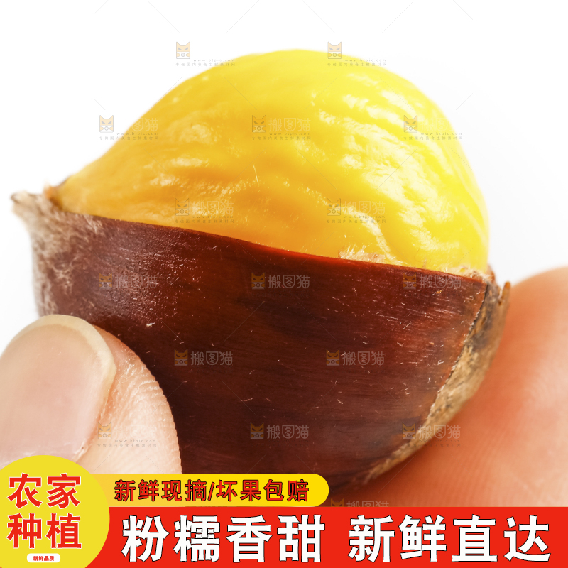 白底上的生板栗