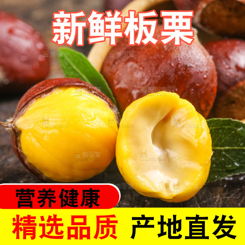 深底上的迁西板栗