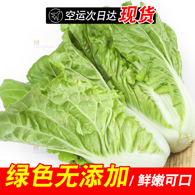 篮子里装着白菜
