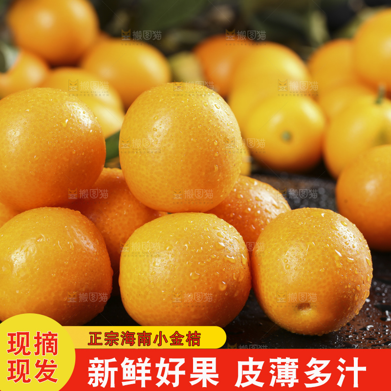 黑石板上的广西金钱橘