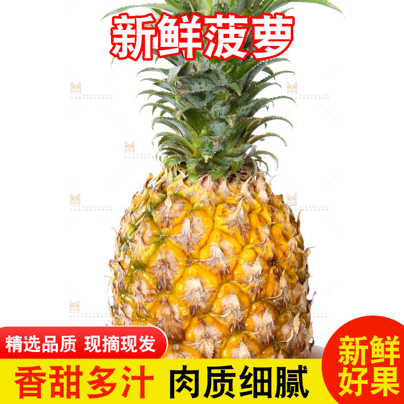 农民手里拿着香水菠萝