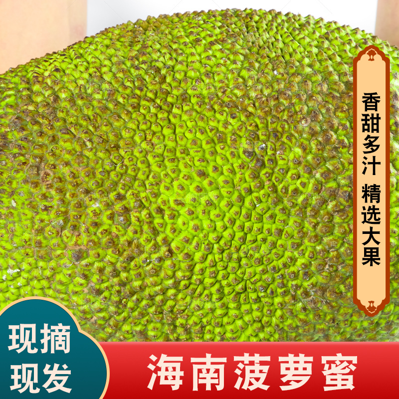 手里抱着新鲜菠萝蜜
