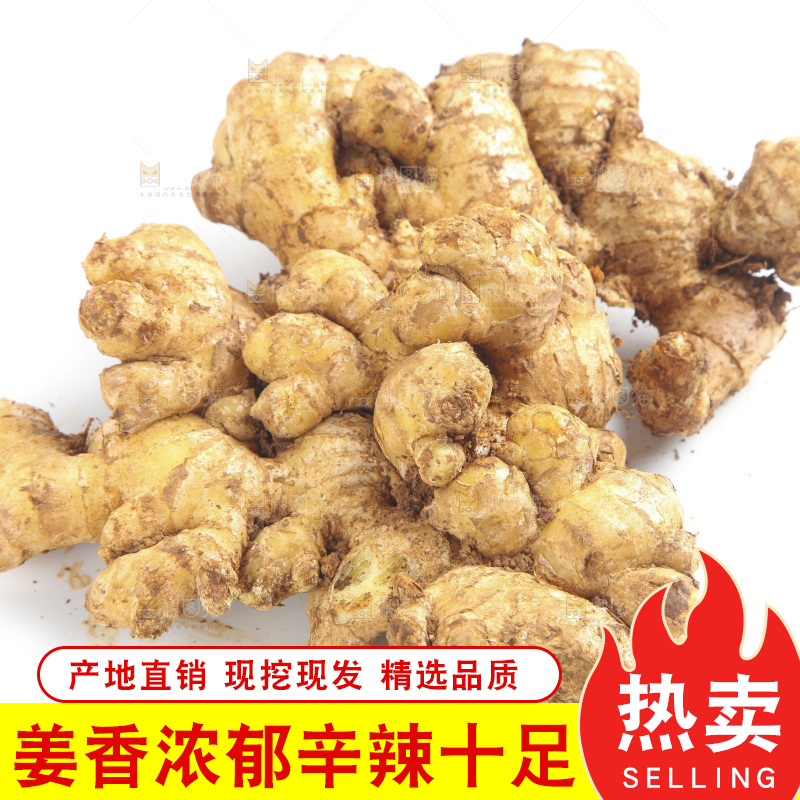 白底上摆放着云南小黄姜