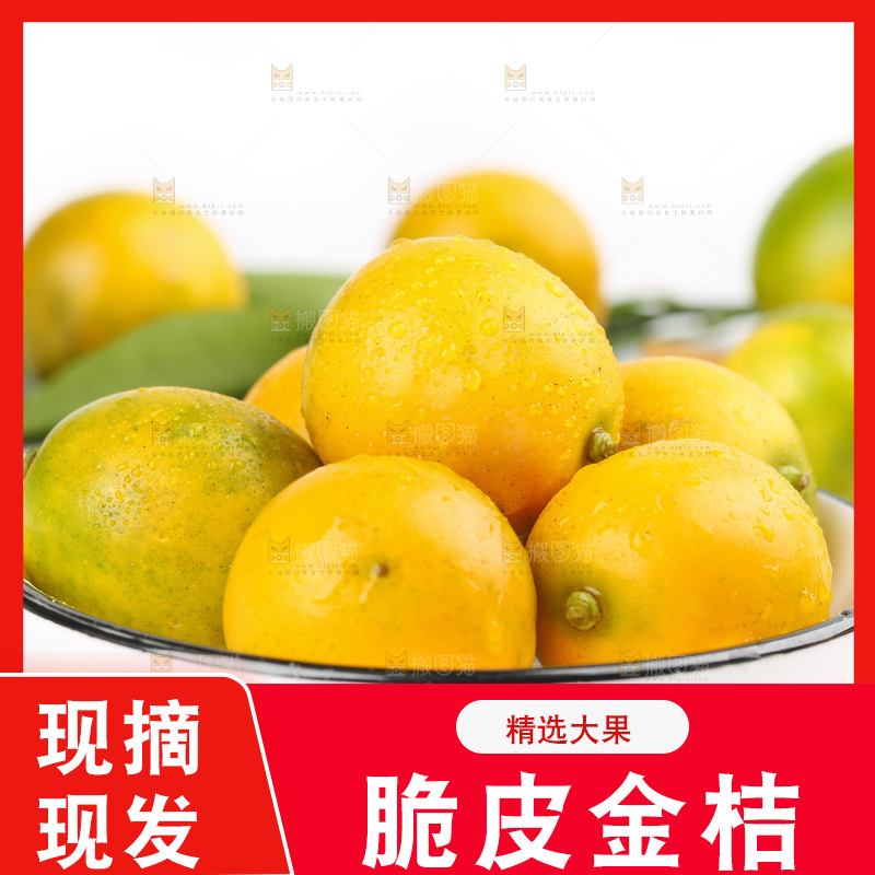 白底上的金桔