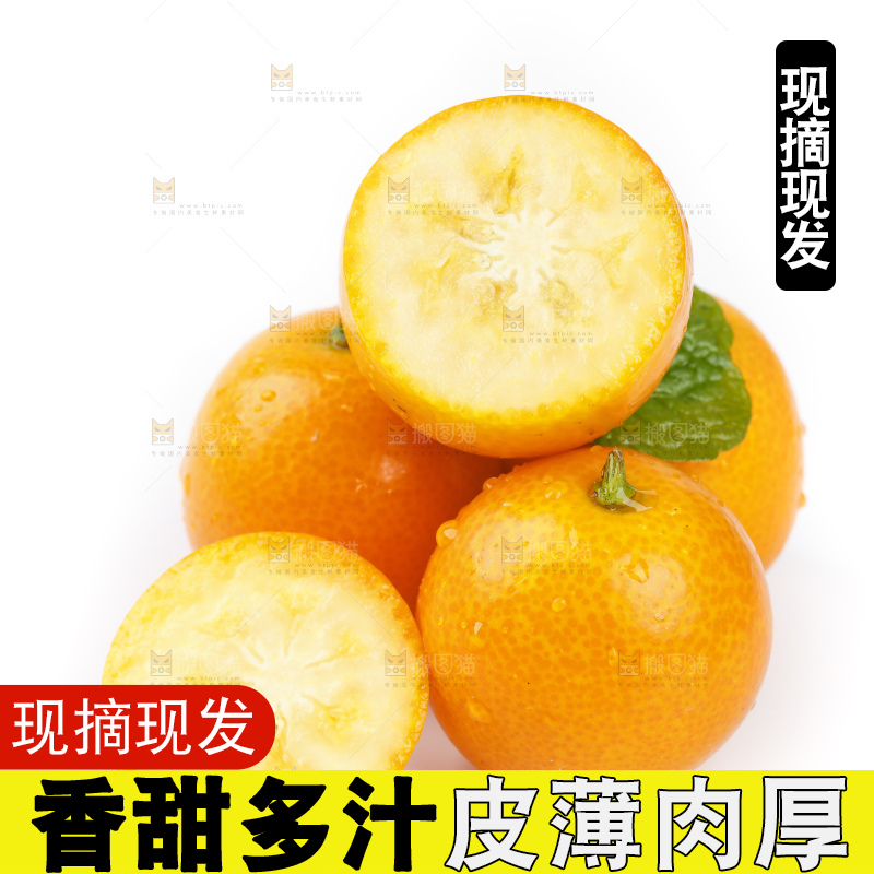 白底上的金桔