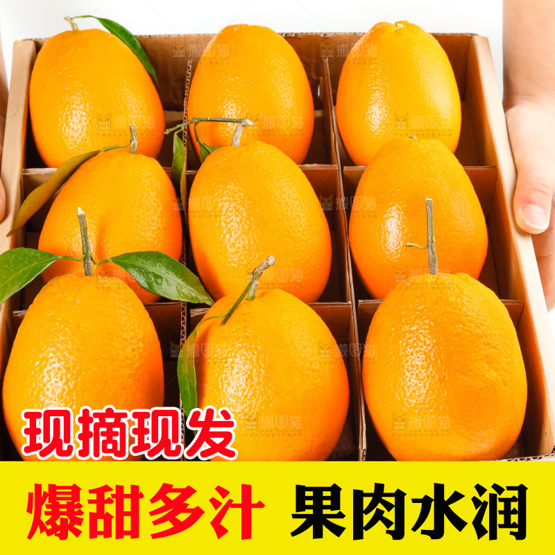 箱子里装着新鲜橙子