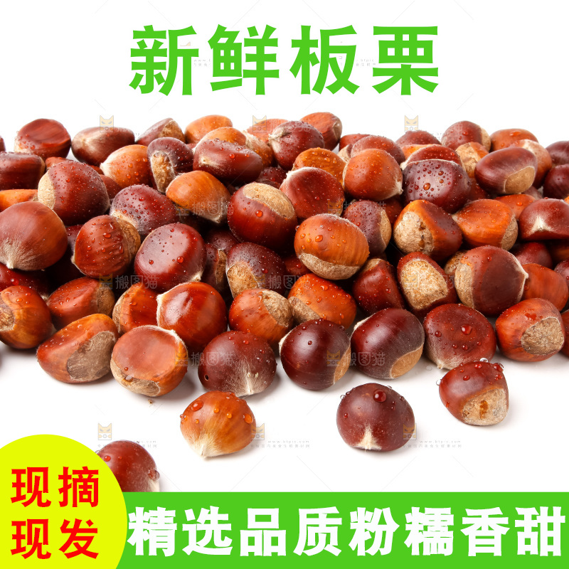 白底上的新鲜栗子