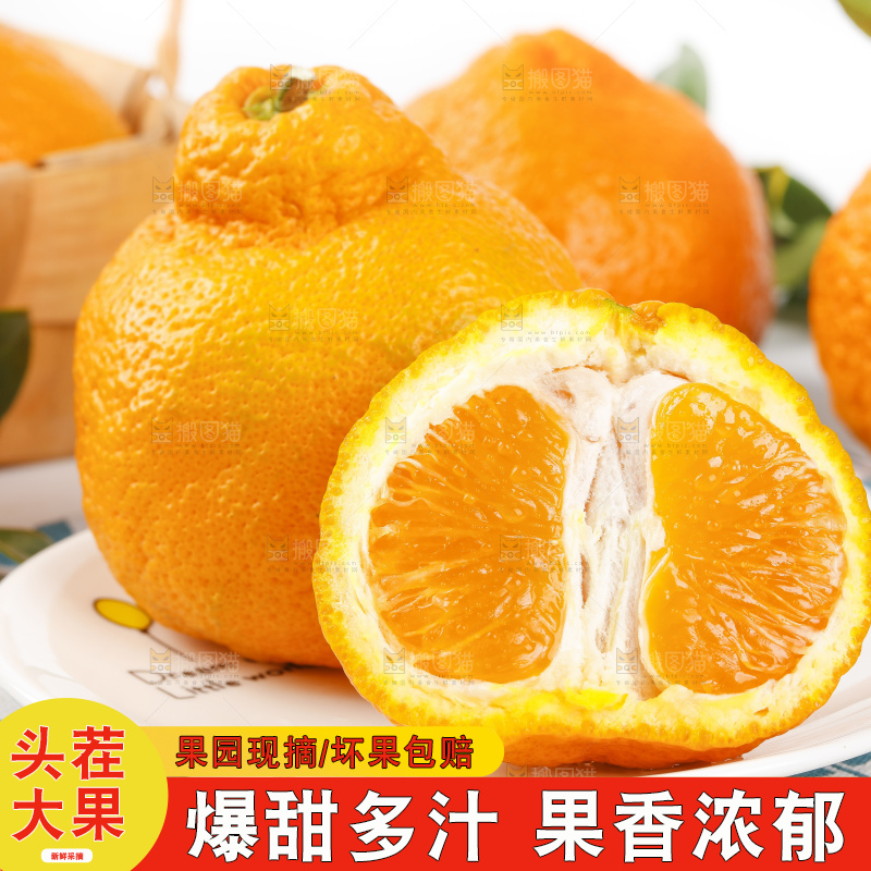 浅底上的春见耙耙柑