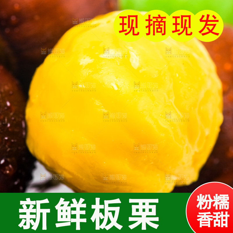 白底上放着迁西板栗