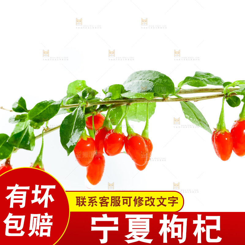 白底上放着枸杞