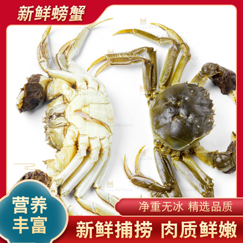 浅底上的鲜活螃蟹