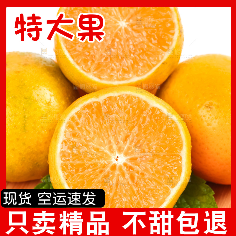 白底上放着一盘广西皇帝柑