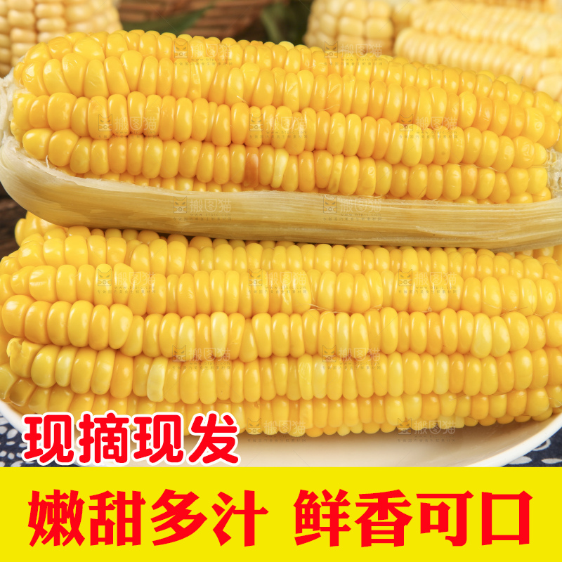 盘子里装着苞米