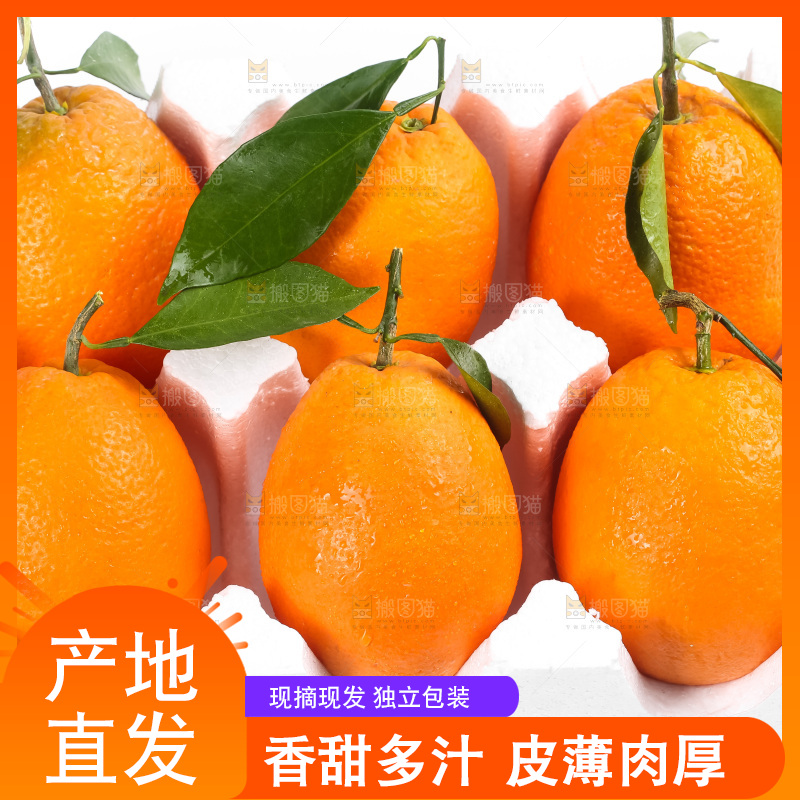 箱子里的秭归脐橙