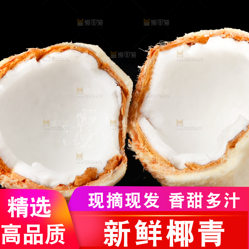 黑底上的青椰子