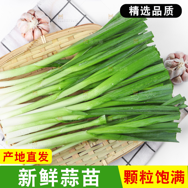白底上放着蒜苗