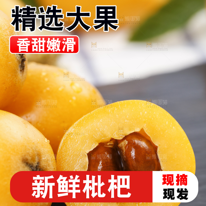 石板上的云南蒙自枇杷