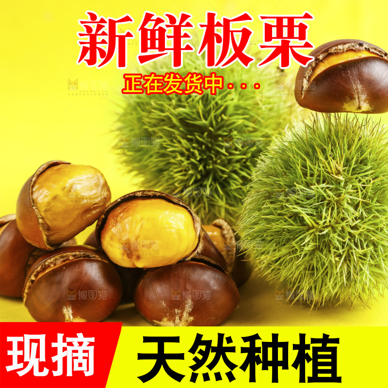 黄底上放着迁西板栗