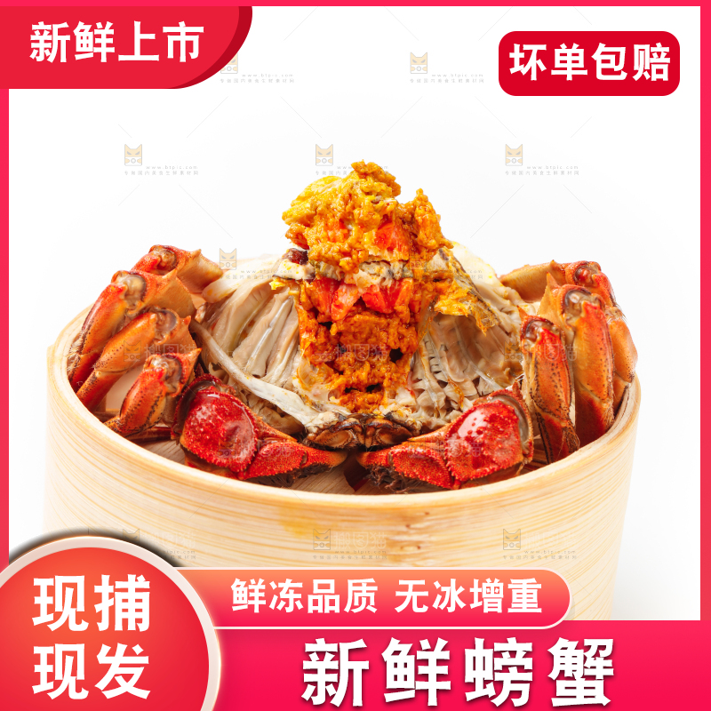 白底上的大闸蟹