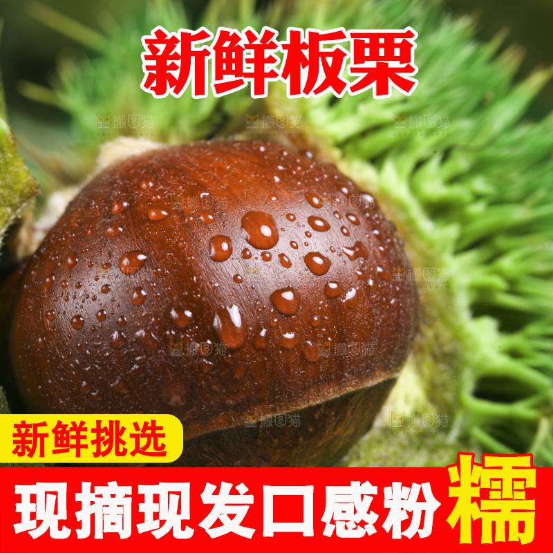 手里拿着新鲜板栗