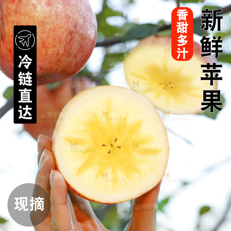 手里拿着新疆冰糖心苹果