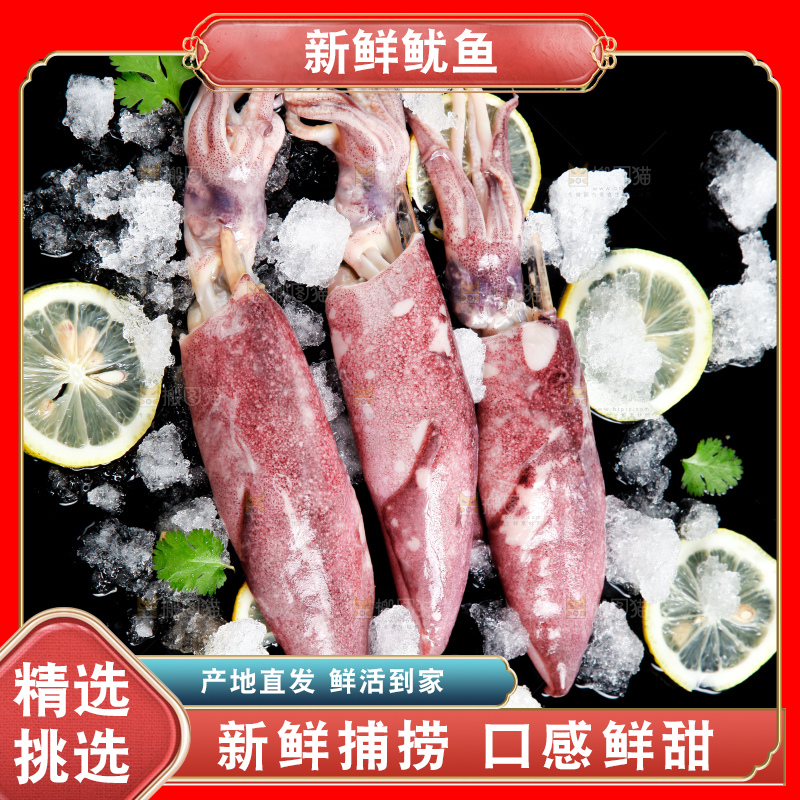 深底上放着生鲜鱿鱼