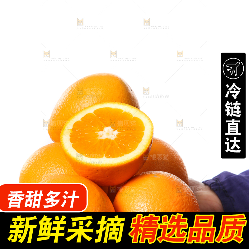 手里拿着长虹脐橙