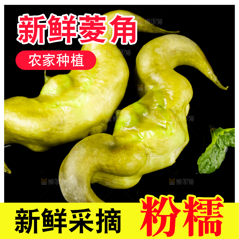 黑底上的菱角