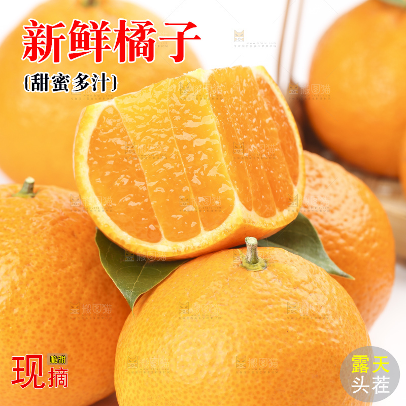 白底上的椪柑橘