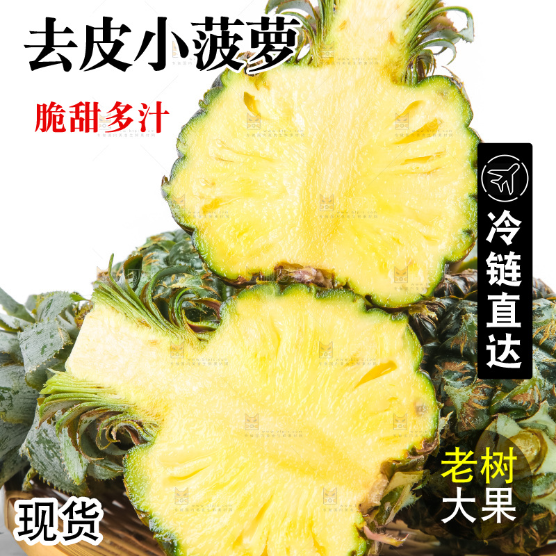 白底上的新鲜小菠萝