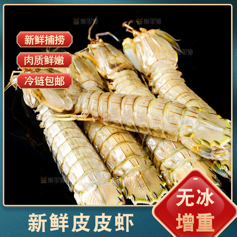 黑底上摆放着舟山皮皮虾