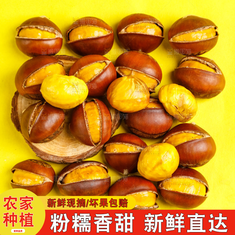黄底上放着迁西板栗
