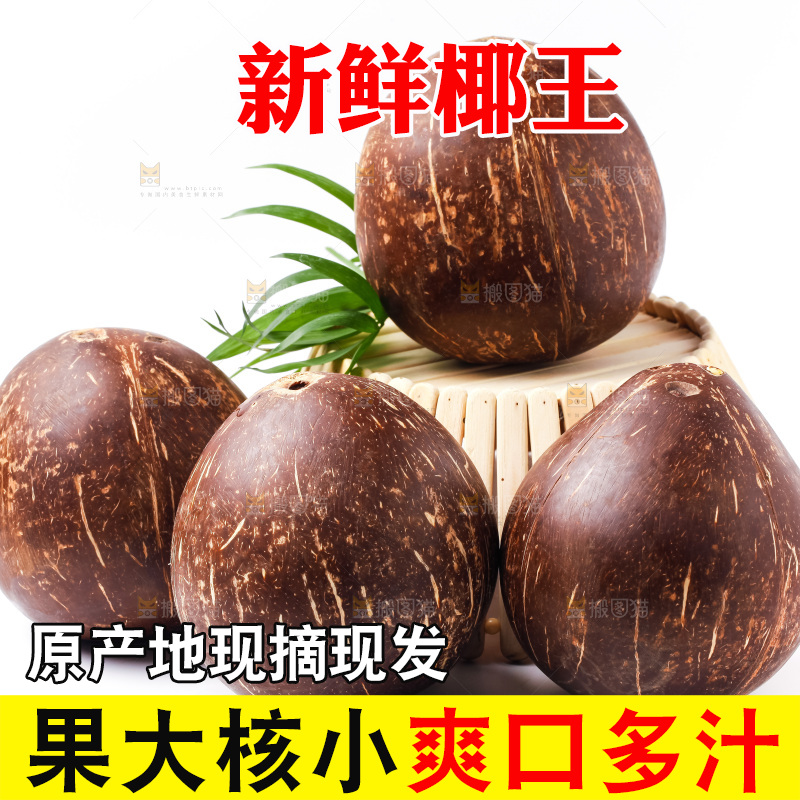 白底上放着椰王