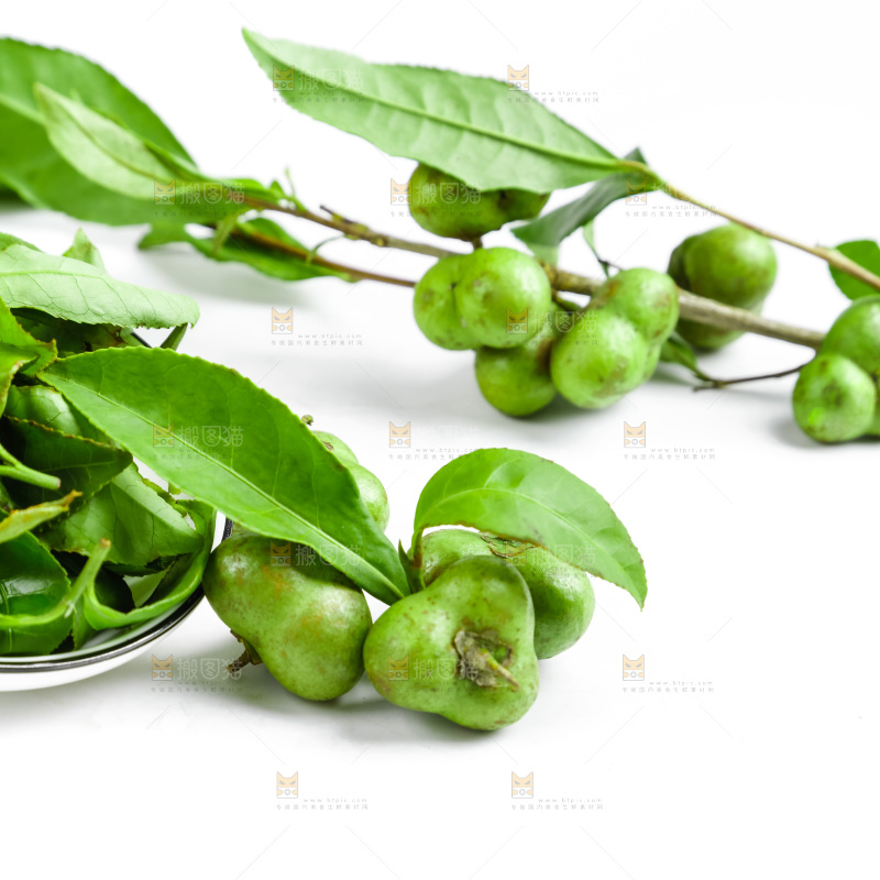 白底上放着绿茶叶
