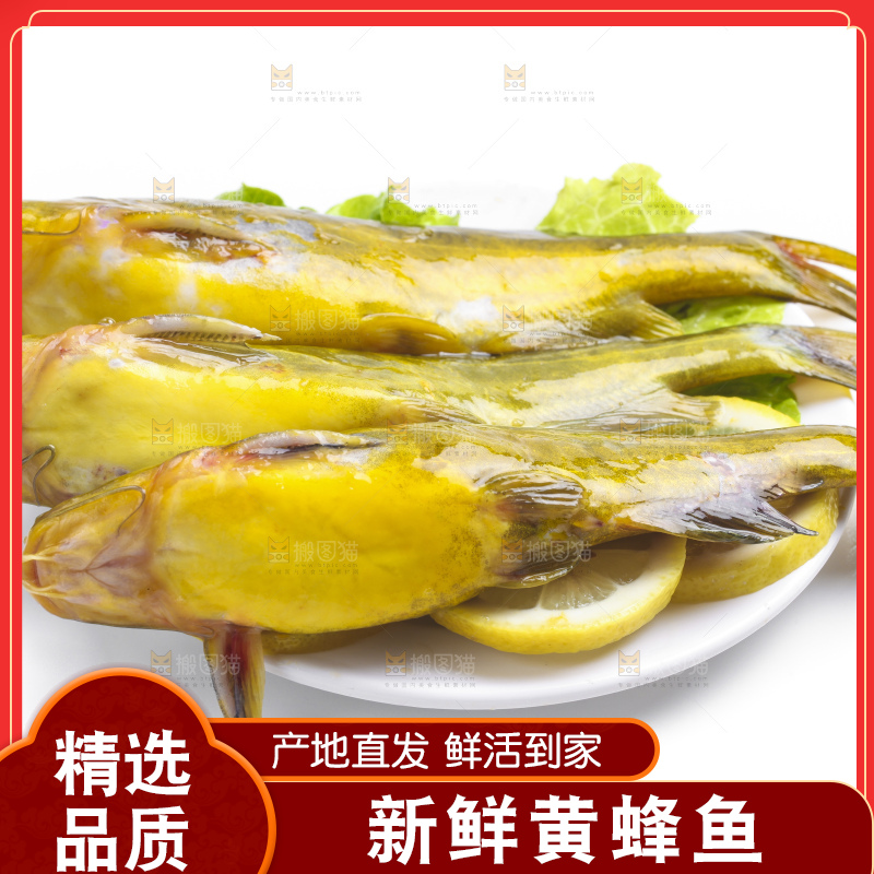 白底上放着黄蜂鱼