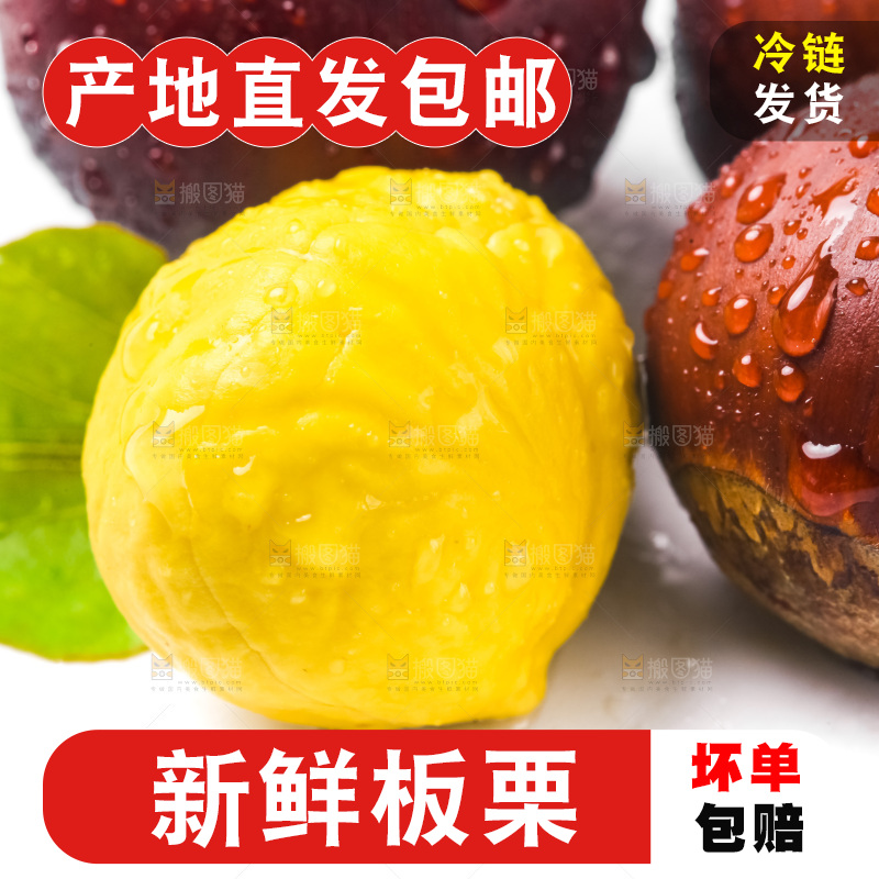 白底上的板栗