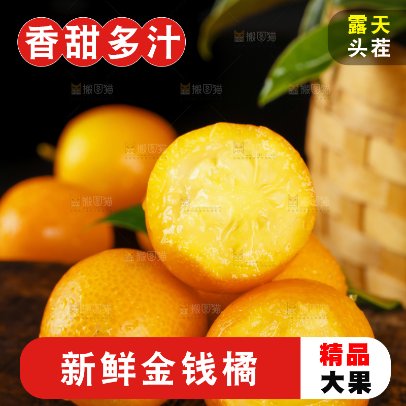 黑底上的小金桔