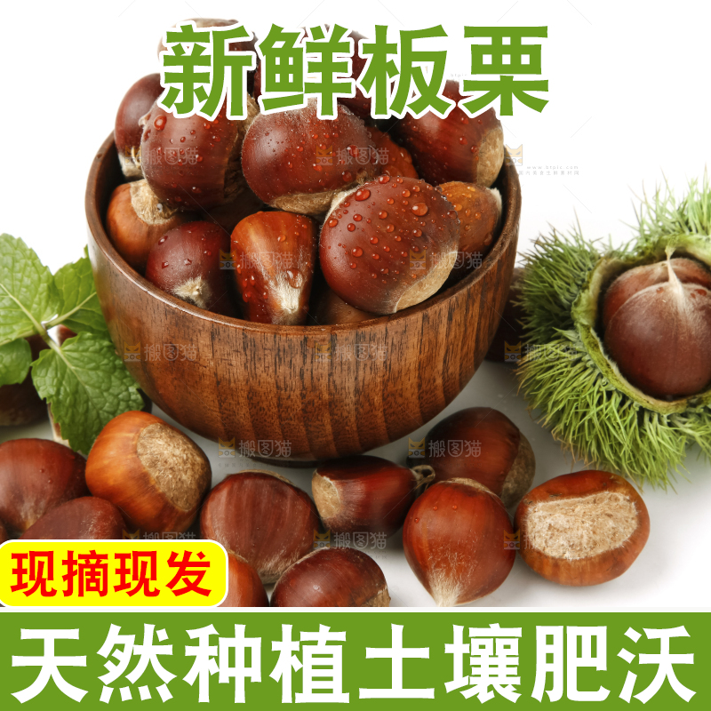 碗里装着毛栗子