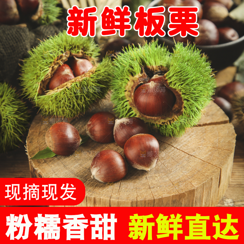木底上放着迁西板栗