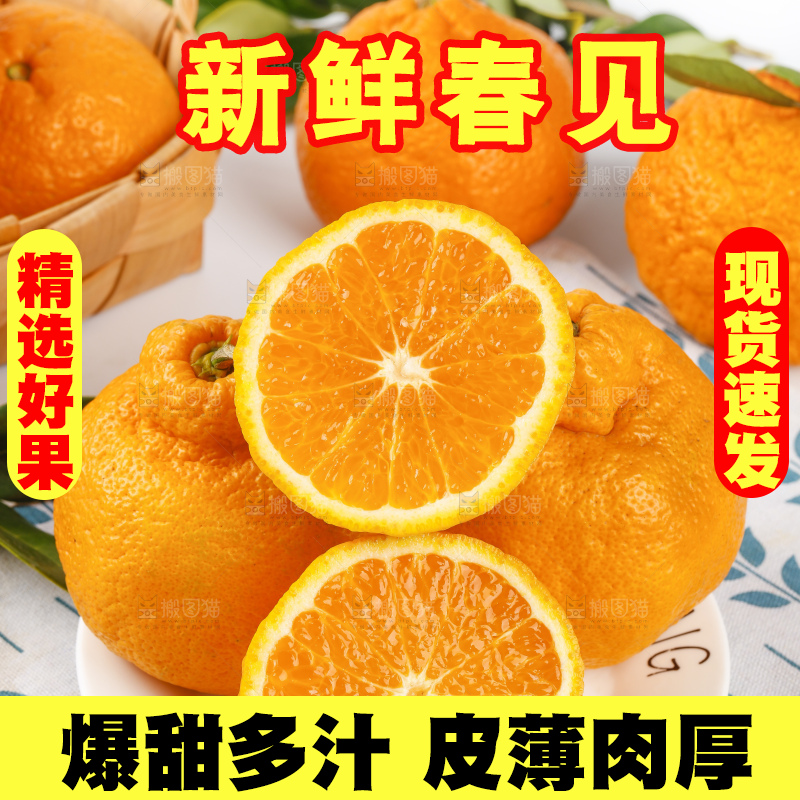 浅底上的春见耙耙柑