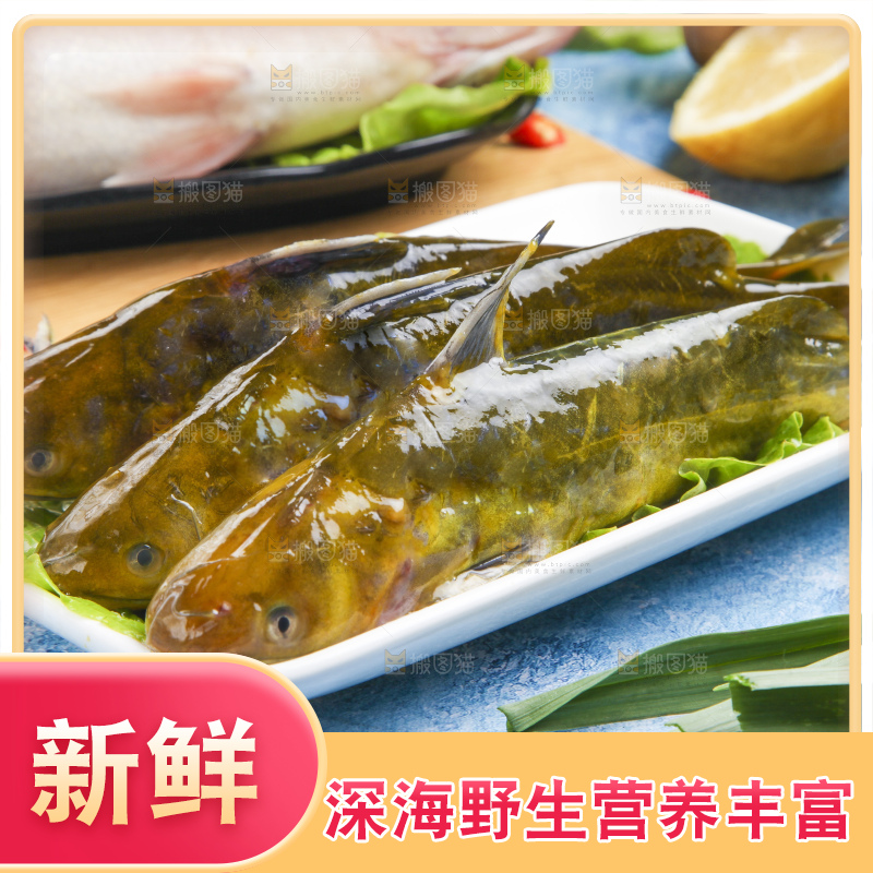 盘子里的黄蜂鱼