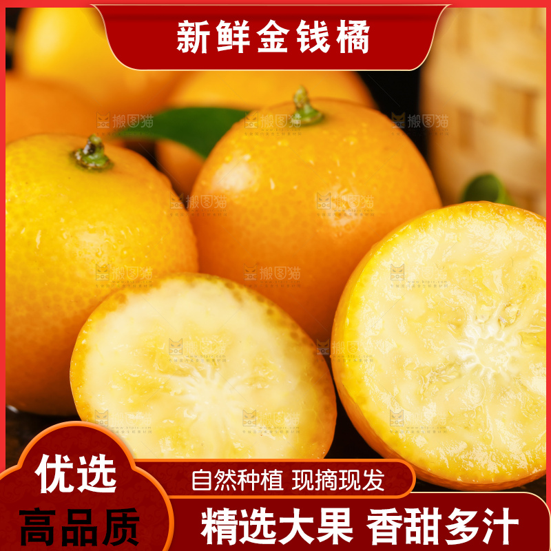 黑底上的小金桔