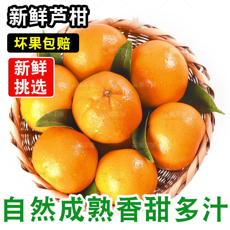 白底上放着椪柑