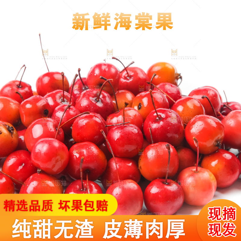 白底上的东北海棠果